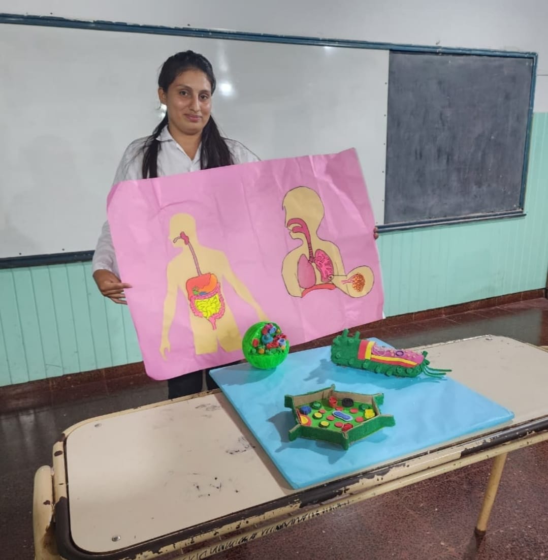 Educación Superior